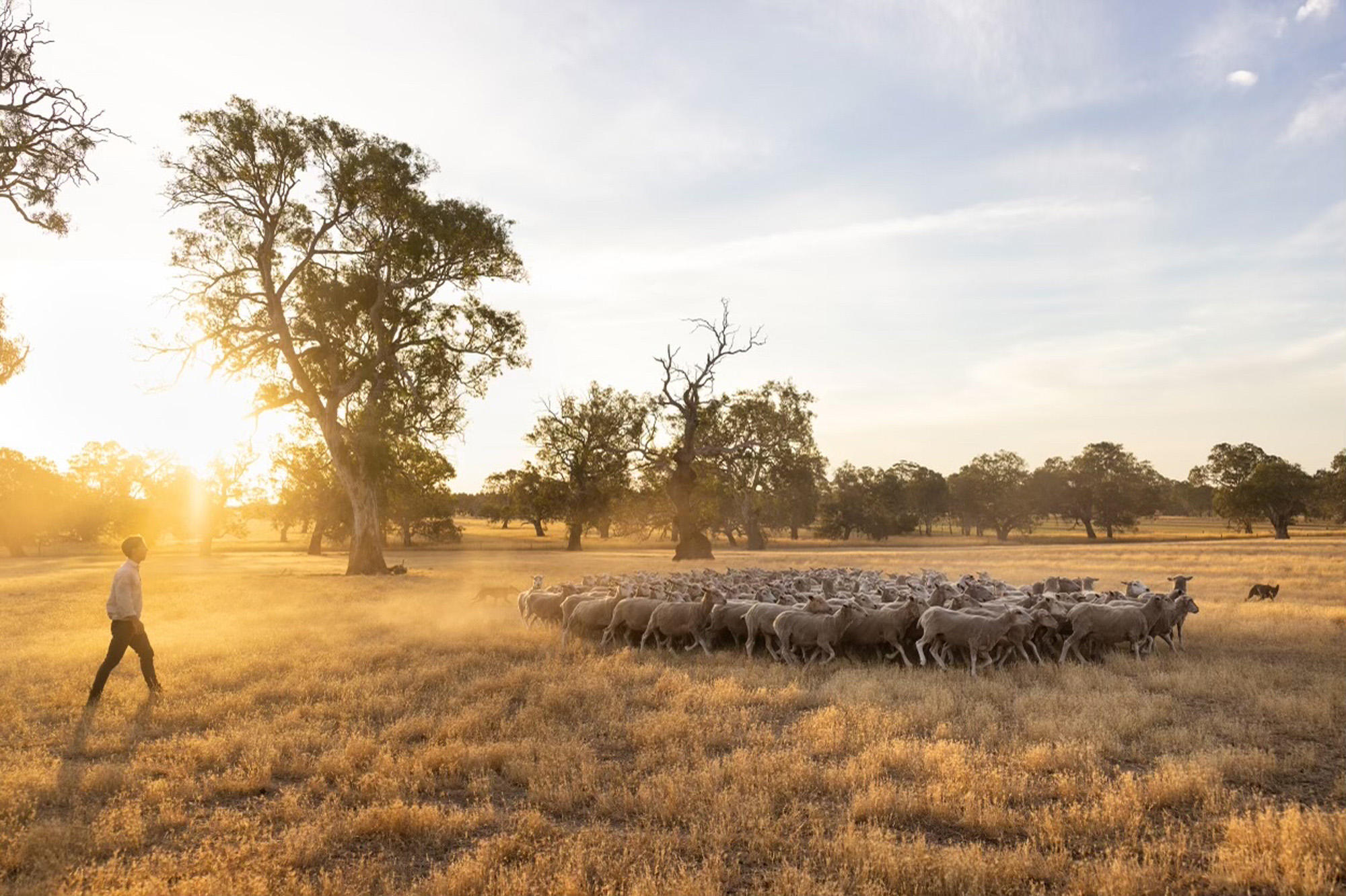 Our Scholarship Program Nuffield Australia Our Scholarship Program Nuffield Australia